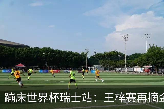 蹦床世界杯瑞士站：王梓赛再摘金